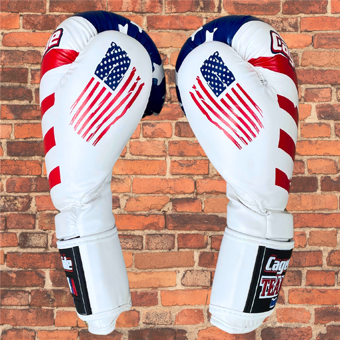 Cageside "USA" Boxing Gloves